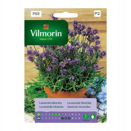 LAWENDA LEKARSKA NASIONA VILMORIN 200mg