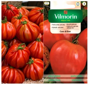 POMIDOR PÓŹNY GRUNTOWY CUOR DI BUE NASIONA 0,2g
