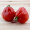 POMIDOR PÓŹNY GRUNTOWY CUOR DI BUE NASIONA 0,2g 4324
