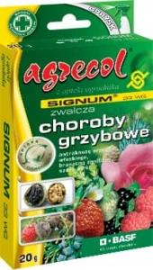 SIGNUM 33 WG ZWALCZA CHOROBY OWOCÓW I WARZYW 20 g