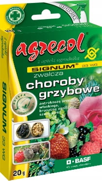 SIGNUM 33 WG ZWALCZA CHOROBY OWOCÓW I WARZYW 20 g