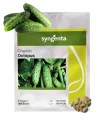 OGÓREK OCTOPUS F1 HOLENDERSKI 500 NASION SYNGENTA 4403