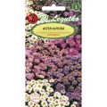 ASTER ALPEJSKI MIESZANKA NASIONA LEGUTKO 300mg 4436
