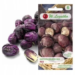 BRUKSELKA CZERWONA KAPUSTA MAŁA RED NASIONA 300mg