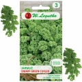 JARMUŻ ZIELONY DWARF GREEN CURLED NASIONA 1g 4593