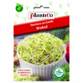 NASIONA NA KIEŁKI BROKUŁ PLANTICO 10g 4615