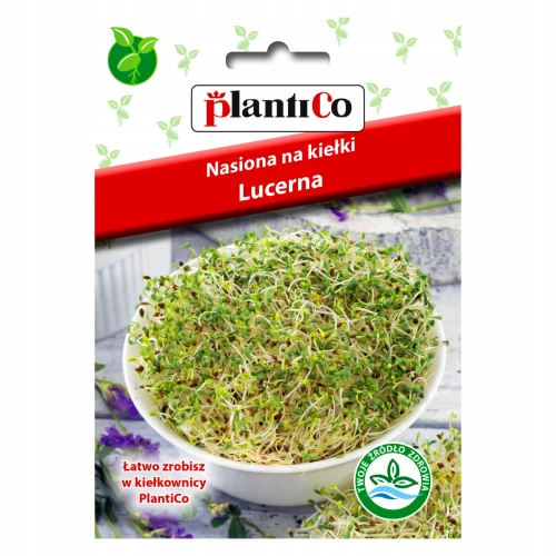 NASIONA NA KIEŁKI LUCERNA PLANTICO 20g
