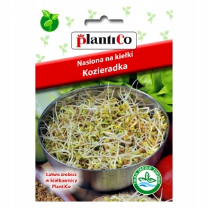 NASIONA NA KIEŁKI KOZIERADKA PLANTICO 20g