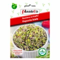 NASIONA NA KIEŁKI KAPUSTA BIAŁA PLANTICO 10g 4637