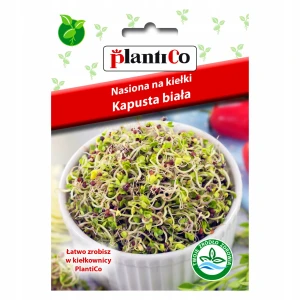 NASIONA NA KIEŁKI KAPUSTA BIAŁA PLANTICO 10g