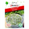 NASIONA NA KIEŁKI GORCZYCA PLANTICO 20g 4649