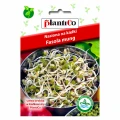 FASOLA MUNG ZIELONA NASIONA NA KIEŁKI PLANTICO 40g 4656