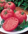 POMIDOR BUFFALOSTEAK F1 MALINOWY 10 NASION 4686