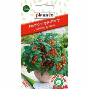 POMIDOR CHERRY KULISTY CZERWONY NASIONA PLANTICO