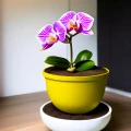 PAŁECZKI DO STORCZYKA NAWÓZ DO ORCHIDEI SUBSTRAL 4827