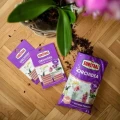PAŁECZKI NAWOZOWE DO STORCZYKÓW SUBSTRAL ORCHIDEA 4982