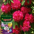NAWÓZ DO RODODENDRONÓW I ROŚLIN KWASOLUBNYCH 350g 5044