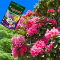 NAWÓZ DO RODODENDRONÓW I ROŚLIN KWASOLUBNYCH 350g 5046