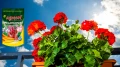 NAWÓZ KRYSTALICZNY DO PELARGONII AGRECOL 200g 5057