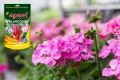 NAWÓZ KRYSTALICZNY DO PELARGONII AGRECOL 200g 5058