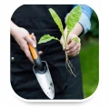 ŁOPATKA WĄSKA OGRODOWA PREMIUM FISKARS 1000727 5100
