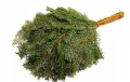 NAWÓZ MAGICZNA SIŁA PRZECIW BRĄZOWIENIU 1kg - 50m² 5195