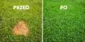 URYNAL NA ŻÓŁTE PLAMY PO PSIE NA TRAWNIKU do 800m² 5210