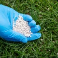 WAPNO GRANULOWANE MIKROFLORA NAWÓZ ODKWASZA 5KG 5265