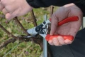 FELCO 7 SEKATOR OGRODOWY RĘCZNY Z OBROTOWYM UCHWYTEM Z REGULACJĄ SIŁY 5328