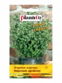 MAJERANEK OGRODOWY NASIONA PLANTICO ORIGANUM MAJORANA AROMATYCZNE ZIOŁA 0,5 5369