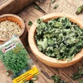 MAJERANEK OGRODOWY NASIONA PLANTICO ORIGANUM MAJORANA AROMATYCZNE ZIOŁA 0,5 5371