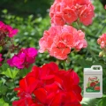 NAWÓZ WIELOSKŁADNIKOWY FLOROVIT PŁYNNY PELARGONIE KWIATY KWITNĄCE 2,8KG 5460