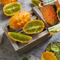 KIWANO EGZOTYCZNY OWOC POMARAŃCZOWO ZIELONY NASIONA LEGUTKO 200mg 5466