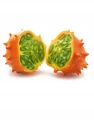 KIWANO EGZOTYCZNY OWOC POMARAŃCZOWO ZIELONY NASIONA LEGUTKO 200mg 5469