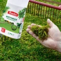 ANTYMECH FRUCTUS DO TRAWNIKA Z MCHEM NAWÓZ GRANULOWANY ŻELAZO 10kg na 200m² 5579
