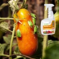 BIOSAP NA MSZYCE PRZĘDZIORKA MĄCZLIKA ROŚLINY OZDOBNE WARZYWA AGROPAK 750ML 5585