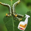 BIOSAP NA MSZYCE PRZĘDZIORKA MĄCZLIKA ROŚLINY OZDOBNE WARZYWA AGROPAK 750ML 5586