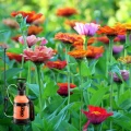 OPRYSKIWACZ RĘCZNY CIŚNIENIOWY KWAZAR ORION SUPER GARDEN PRO 6L 5602
