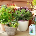 FLOROVIT NAWÓZ WIELOSKŁADNIKOWY GRUPA INCO PŁYNNY KWIATY DOM BALKON 2,8KG 5627