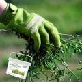 SUMIN NAWÓZ WIELOSKŁADNIKOWY ANTYCHWAST DO TRAWNIKÓW ZACHWASZCZONYCH 5KG 5649