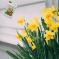 NAWÓZ WIELOSKŁADNIKOWY GRUPA INCO PŁYNNY DO ROŚLIN KWITNĄCYCH KWIATÓW 3KG 5741