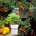 SUMIN MĄCZKA BAZALTOWA NATURALNE WSPARCIE DLA OGRODU BOGACTWO EKO 10KG 5754