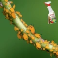 AGRECOL PREPARAT MA MSZYCE OCHOJNIKI CZERWCE PRZĘDZIORKI SKUTECZNY 500ML 5785