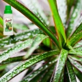 FLOROVIT NAWÓZ WIELOSKŁADNIKOWY PŁYNNY DO PALM JUK DRACEN BUTELKA 0,5L 5790