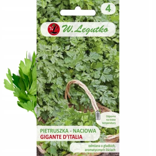 PIETRUSZKA NACIOWA GIGANTE D'ITALIA SERIA TRADYCYJNA W.LEGUTKO 2g