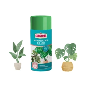 SUBSTRAL NABŁYSZCZACZ SPRAY DO LIŚCI ROŚLINY DOMOWE SUPER POŁYSK 0,2KG