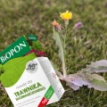 NAWÓZ DO TRAWY Z CHWASTAMI NA TRAWNIK ZACHWASZCZONY BIOPON 1kg na 50m² 5944