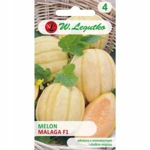 MELON MALAGA POMARAŃCZOWY AROMATYCZNY SŁODKI WCZESNY NASIONA LEGUTKO 0,5g