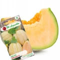 MELON MALAGA POMARAŃCZOWY AROMATYCZNY SŁODKI WCZESNY NASIONA LEGUTKO 0,5g 5949