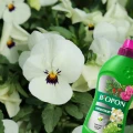 NAWÓZ PŁYNNY MINERALNY UNIWERSALNY DO KAŻDEJ ROŚLINY BIOPON NATURALNY 1L 5953